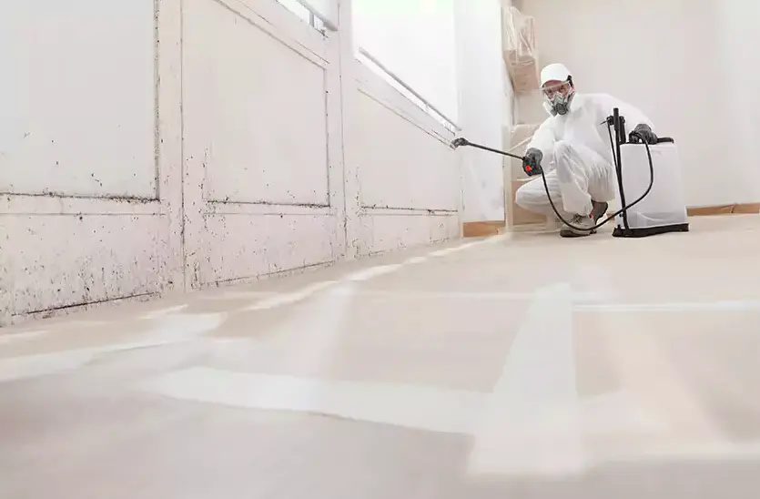 Mold inspection Pueblo CO